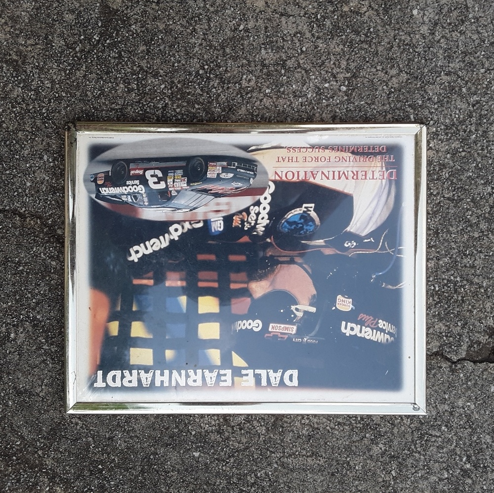 Dale Earnhardt picture